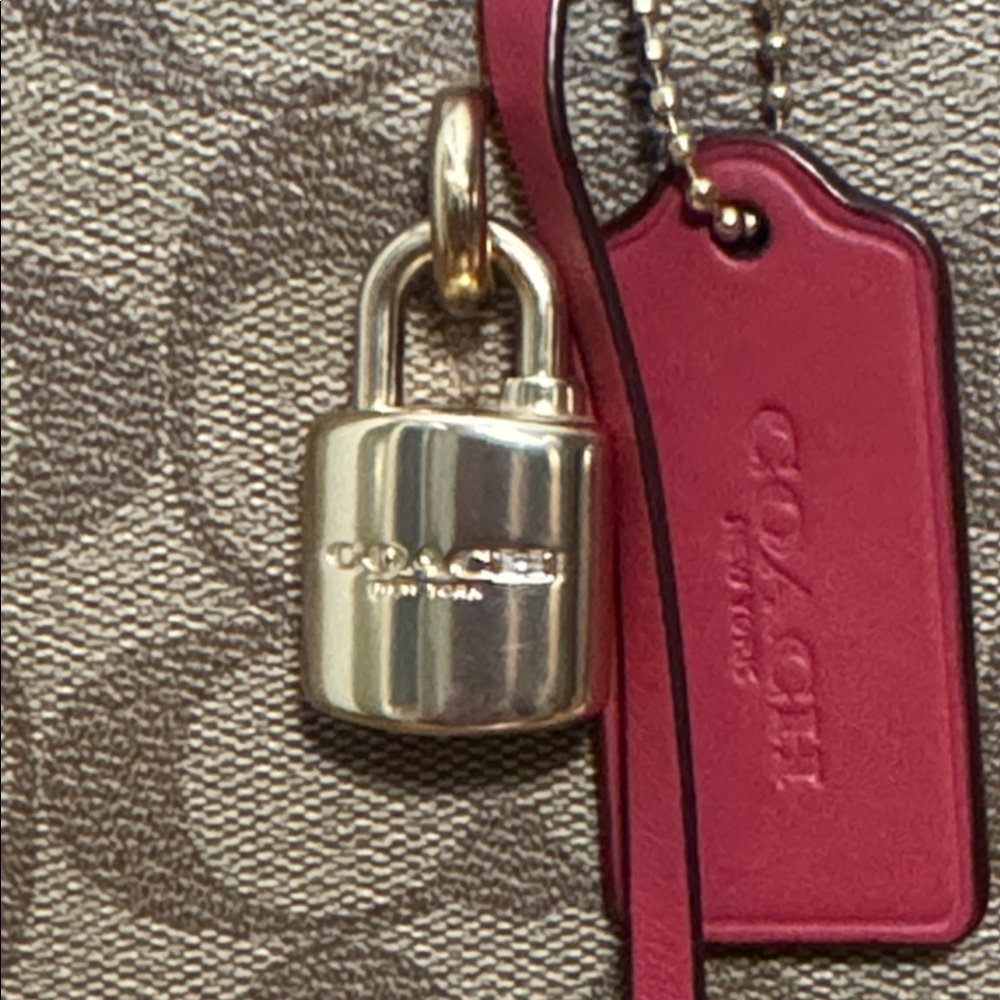 COACH ZOE CARRYALL - Picture 9 of 16